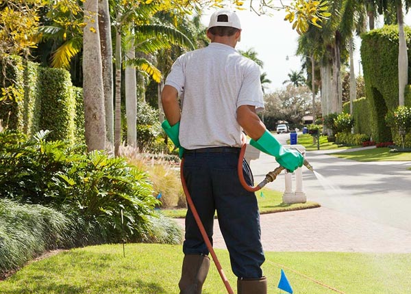 About Ridgeway SC Pest Control Pros